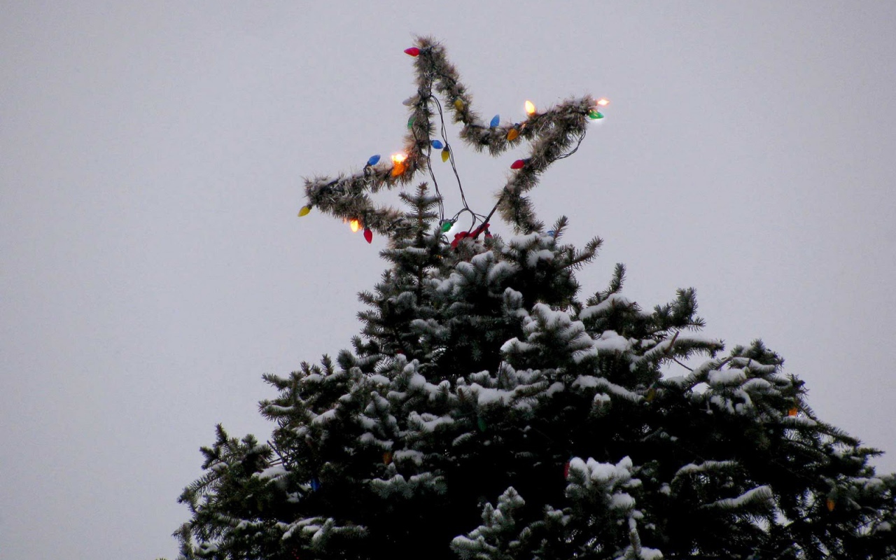 Звезда новогодней елки