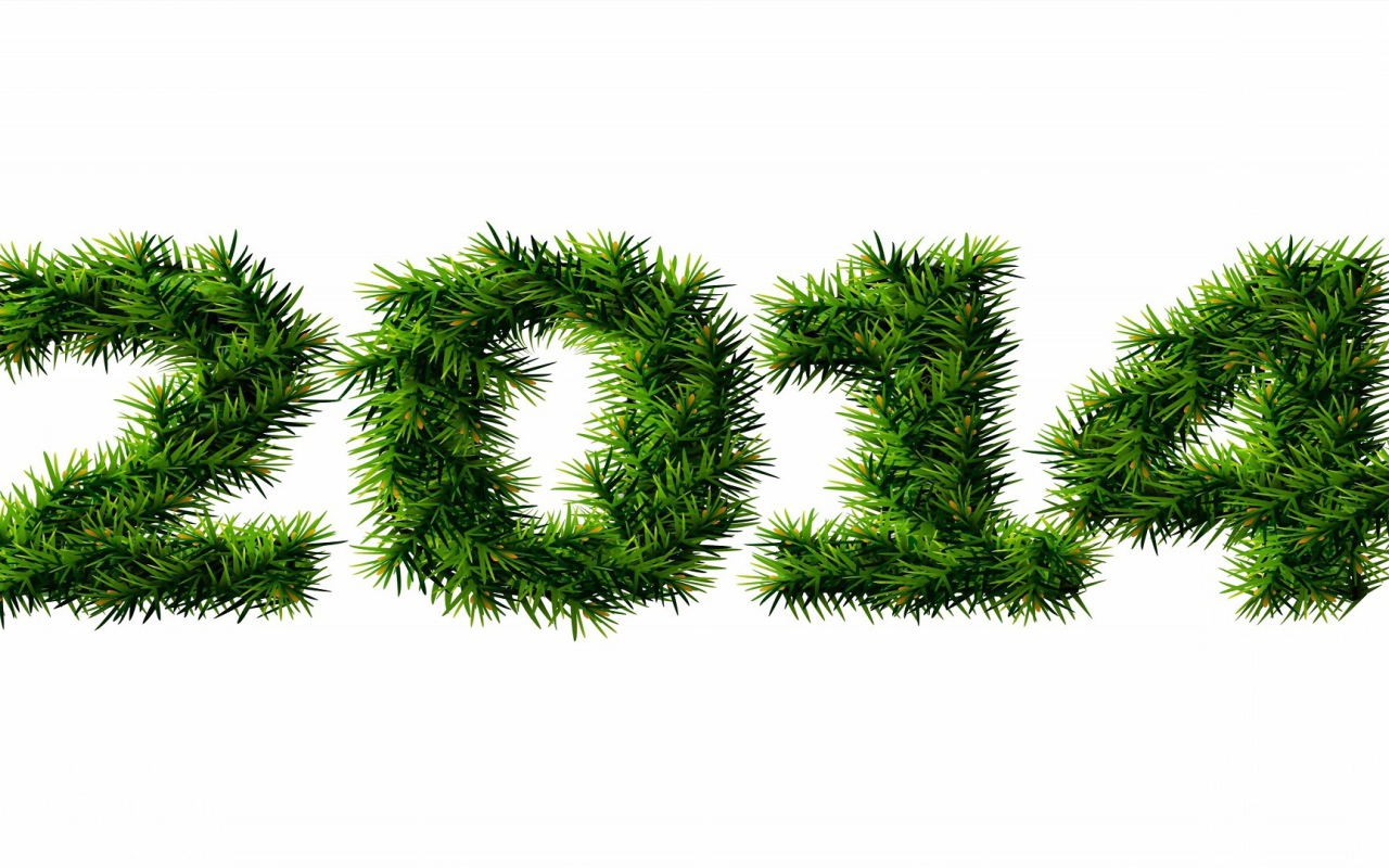 С Новым 2013-2014 годом