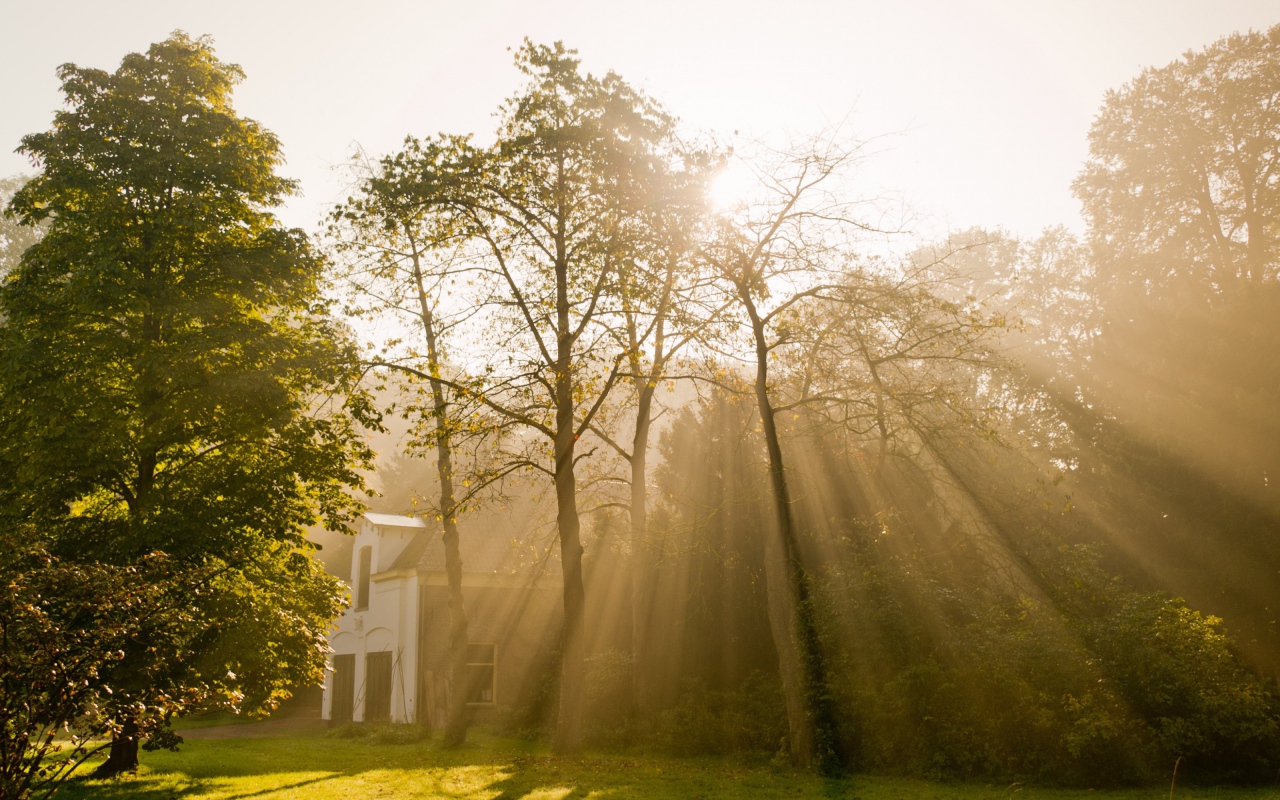 Солнце над Амстердамом