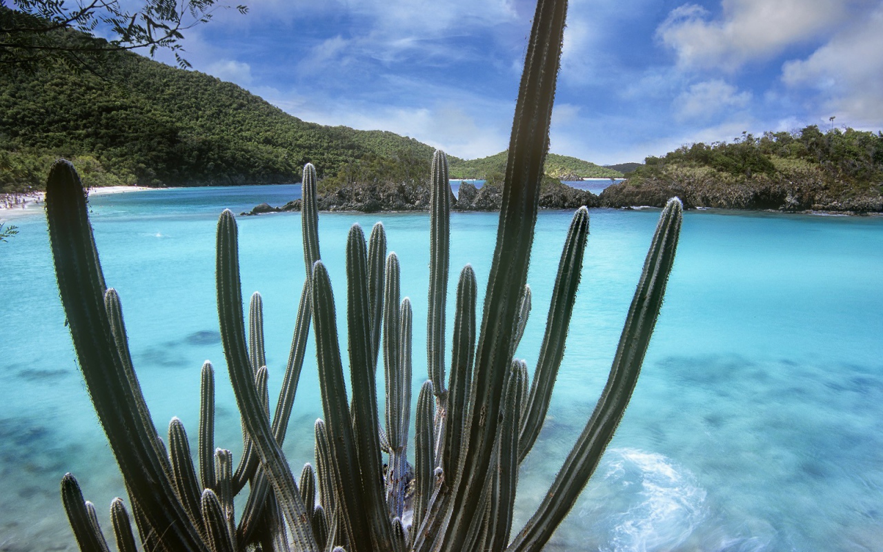 Национальный парк Вирджинии