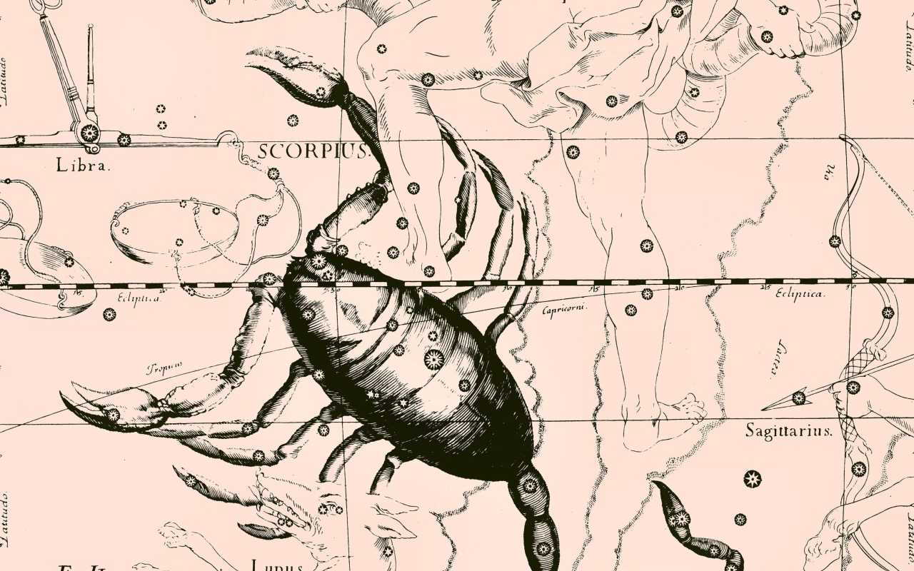 Карта звездного неба, скорпион, розовый цвет