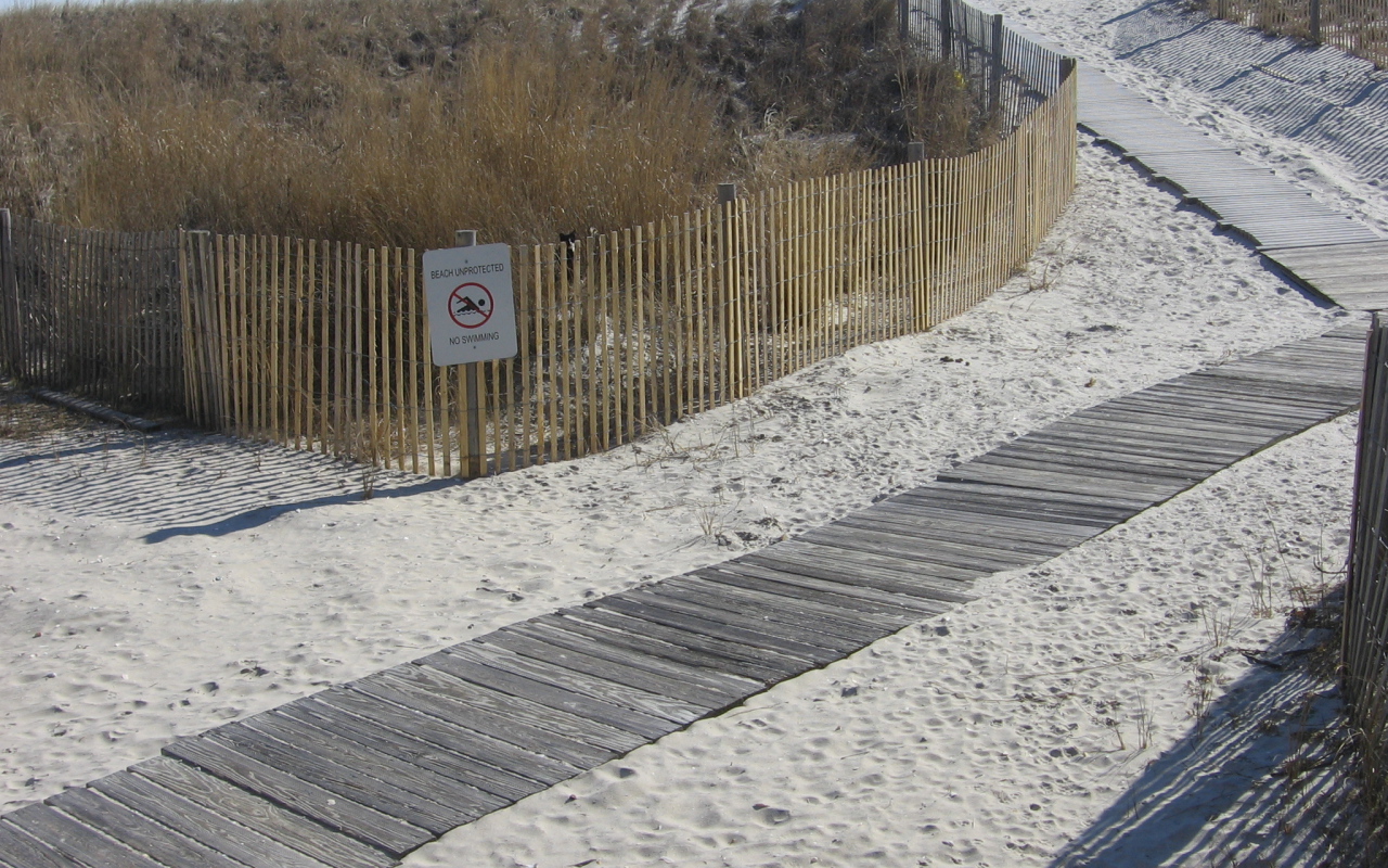 Найди кота в дюнах