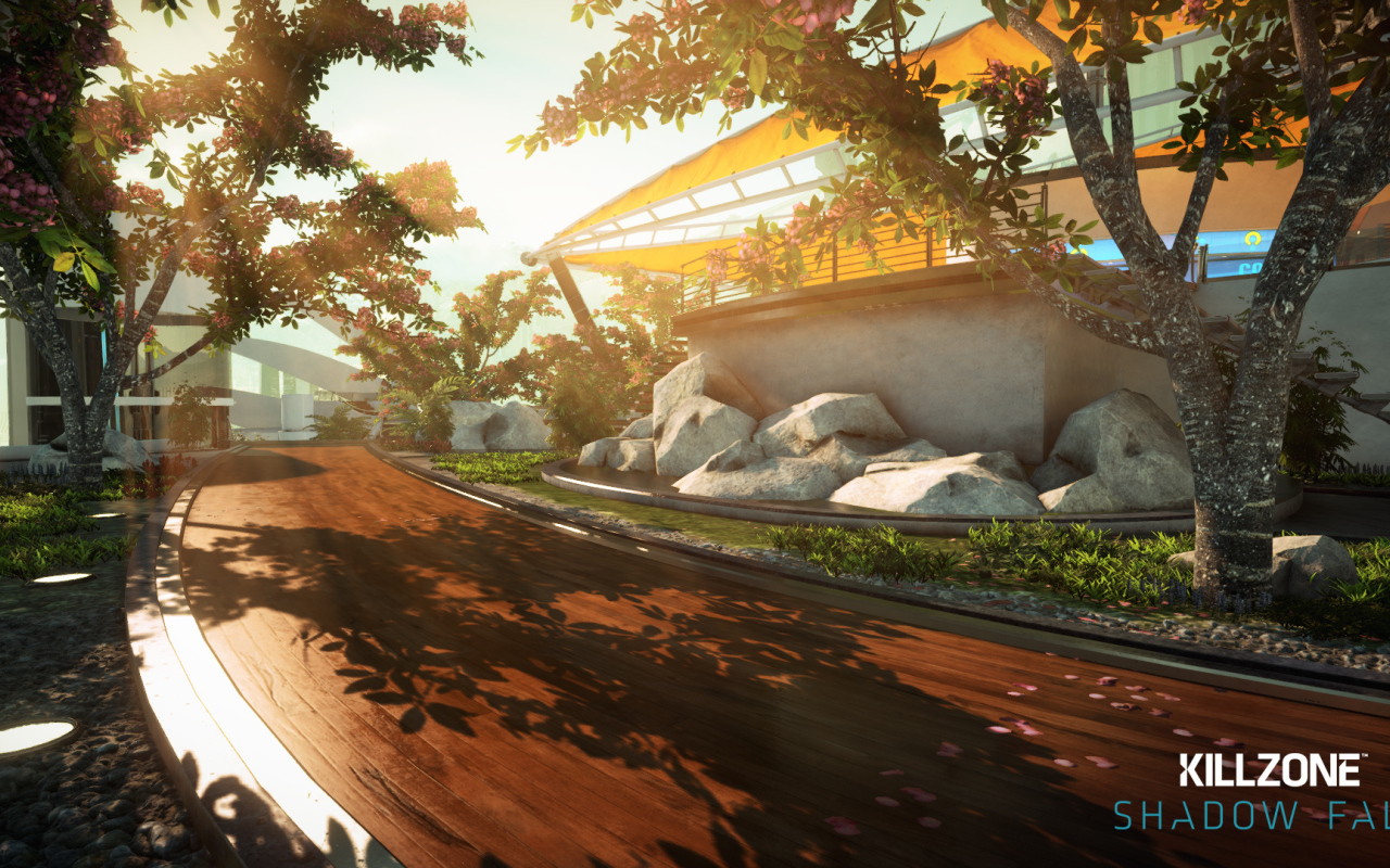 Killzone: Shadow Fall: вид