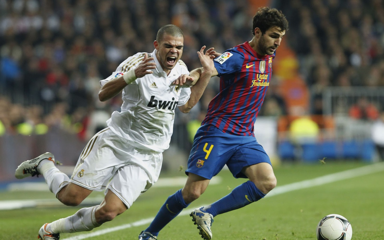 The defender of Real Madrid Pepe injury
