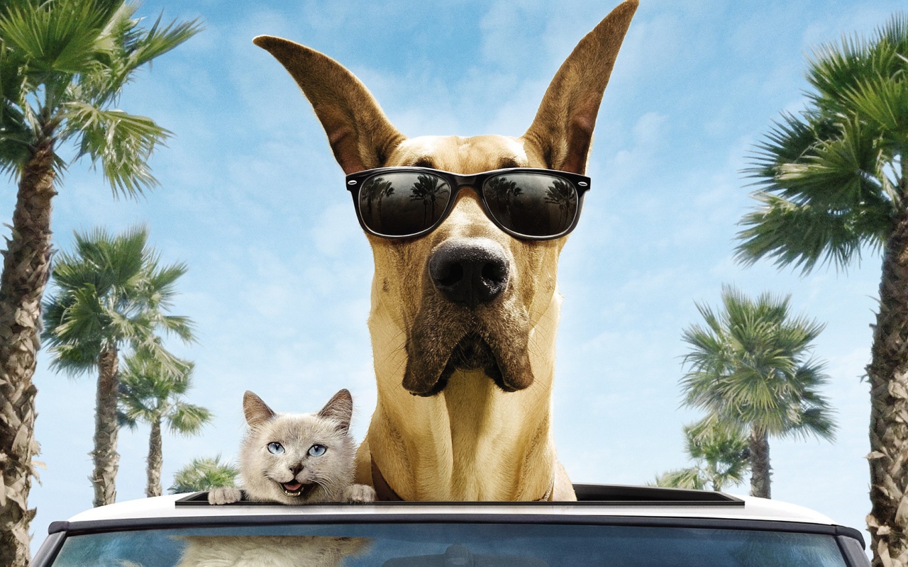 Животные герои фильма