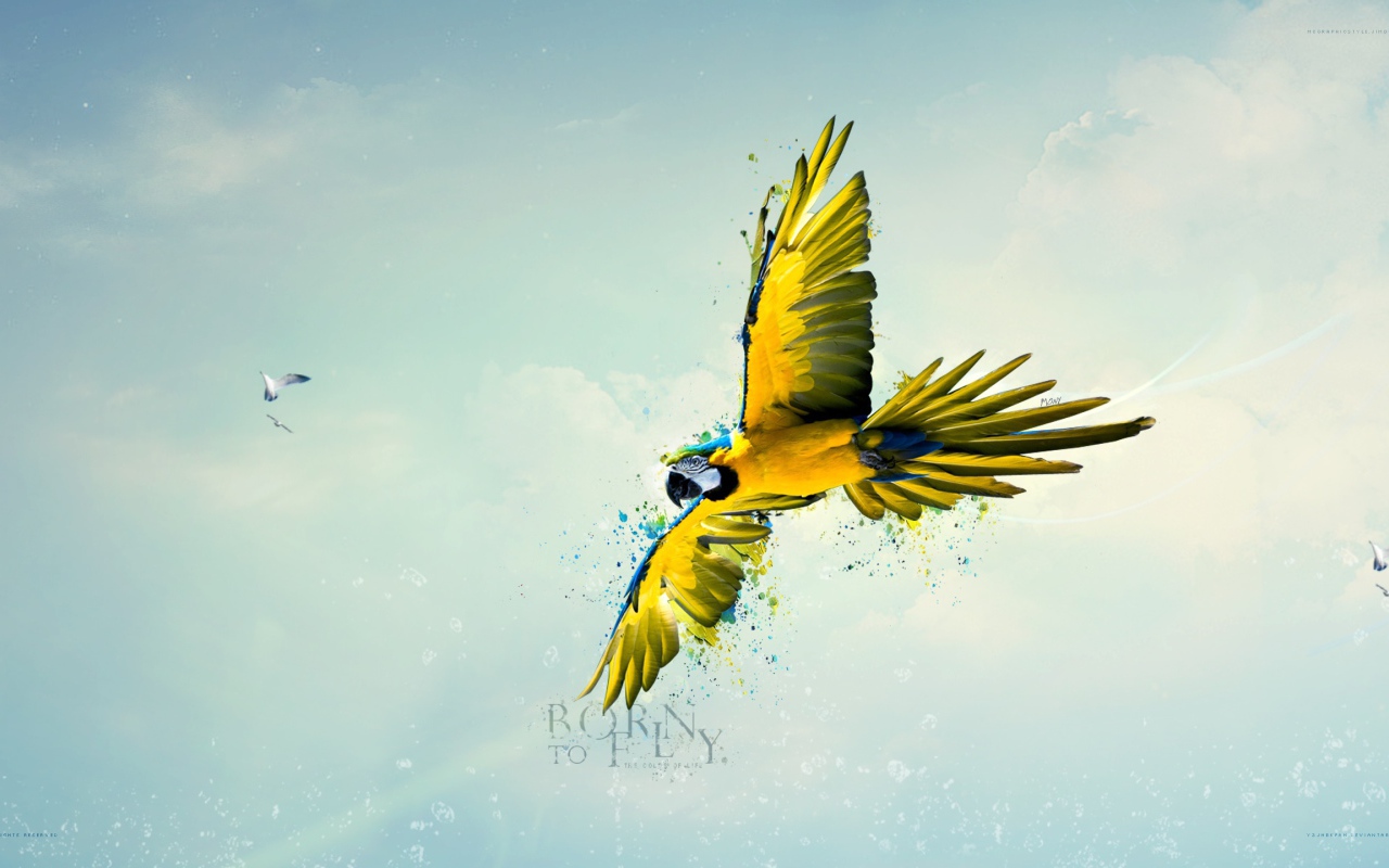 Рождена летать