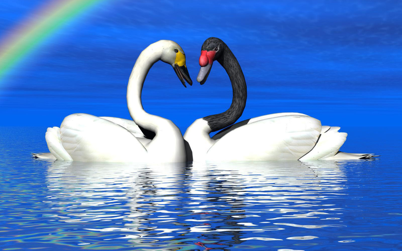 Лебеди под радугой