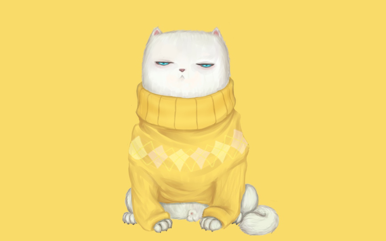 Cat in sweater