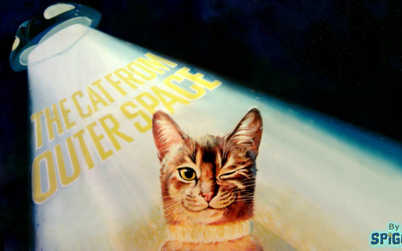 Кот подмигивает