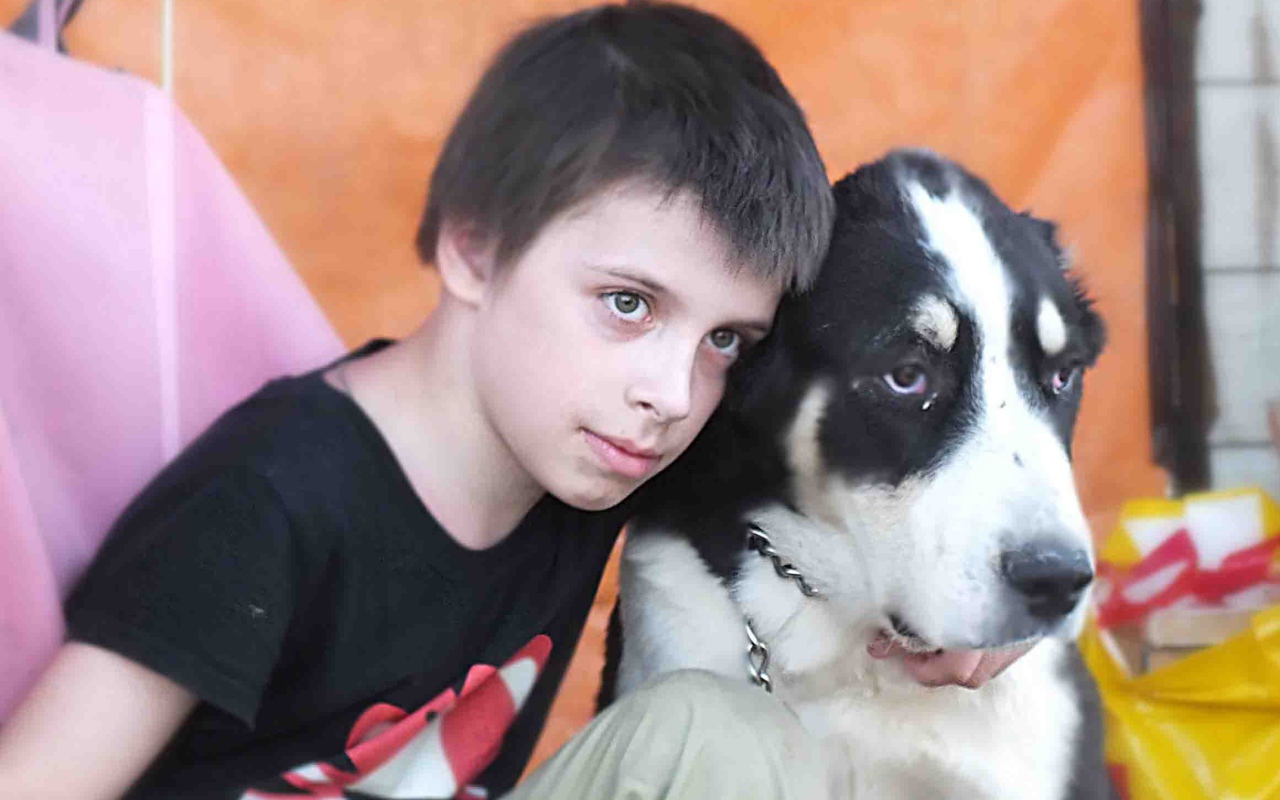 Мальчик сидит с алабаем