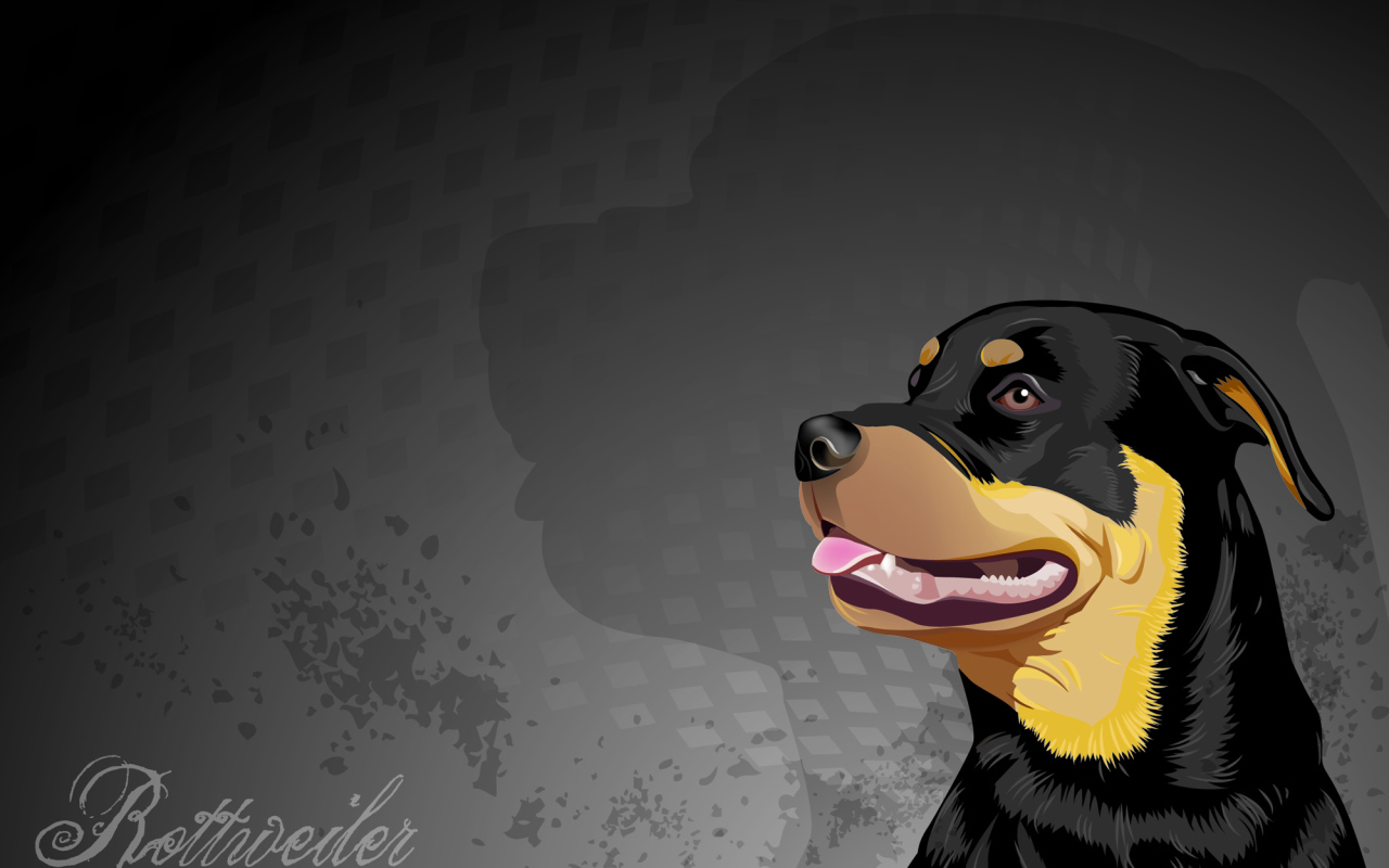 Нарисованная собака ротвейлер