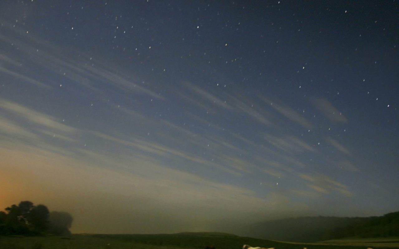Лошади под звездным небом