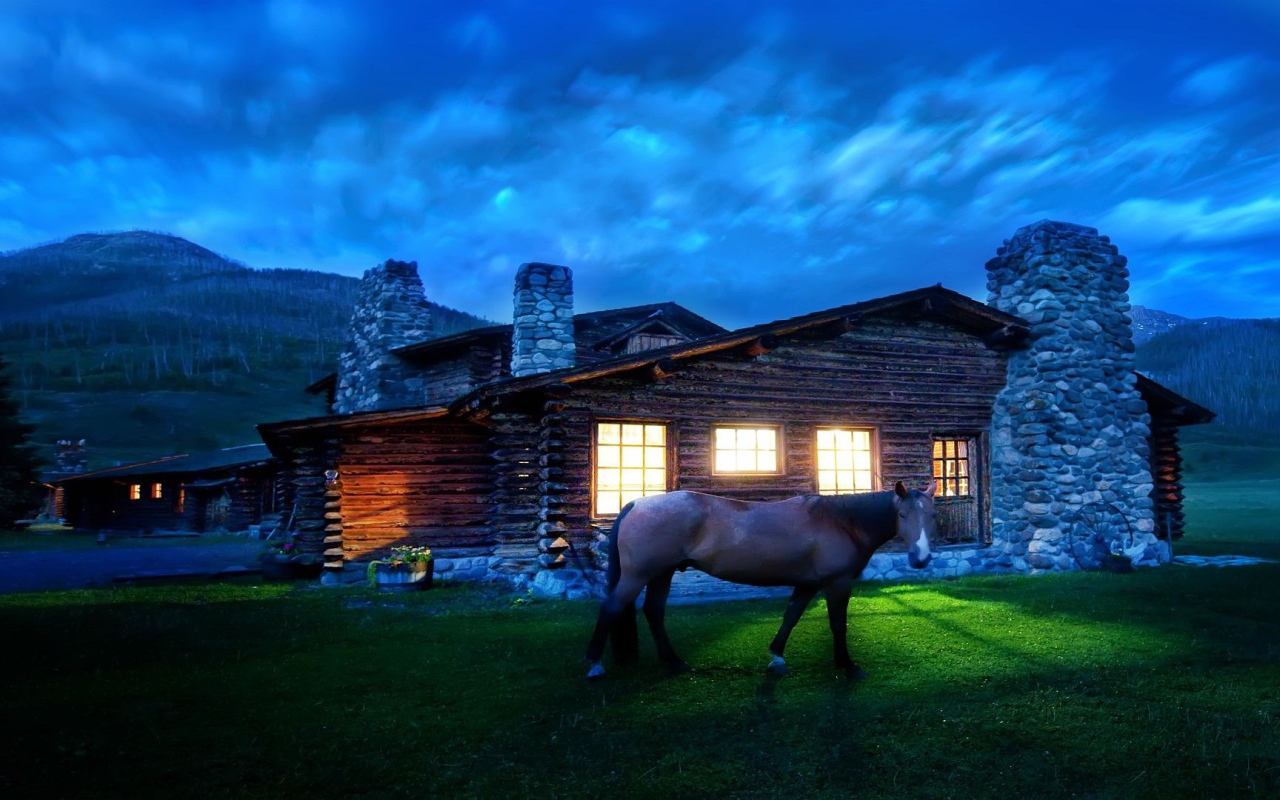 Лошадь около дома