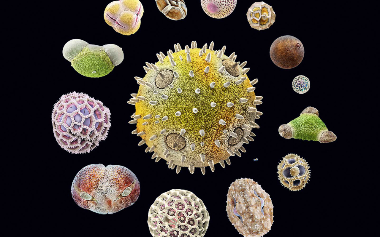 Морская тема