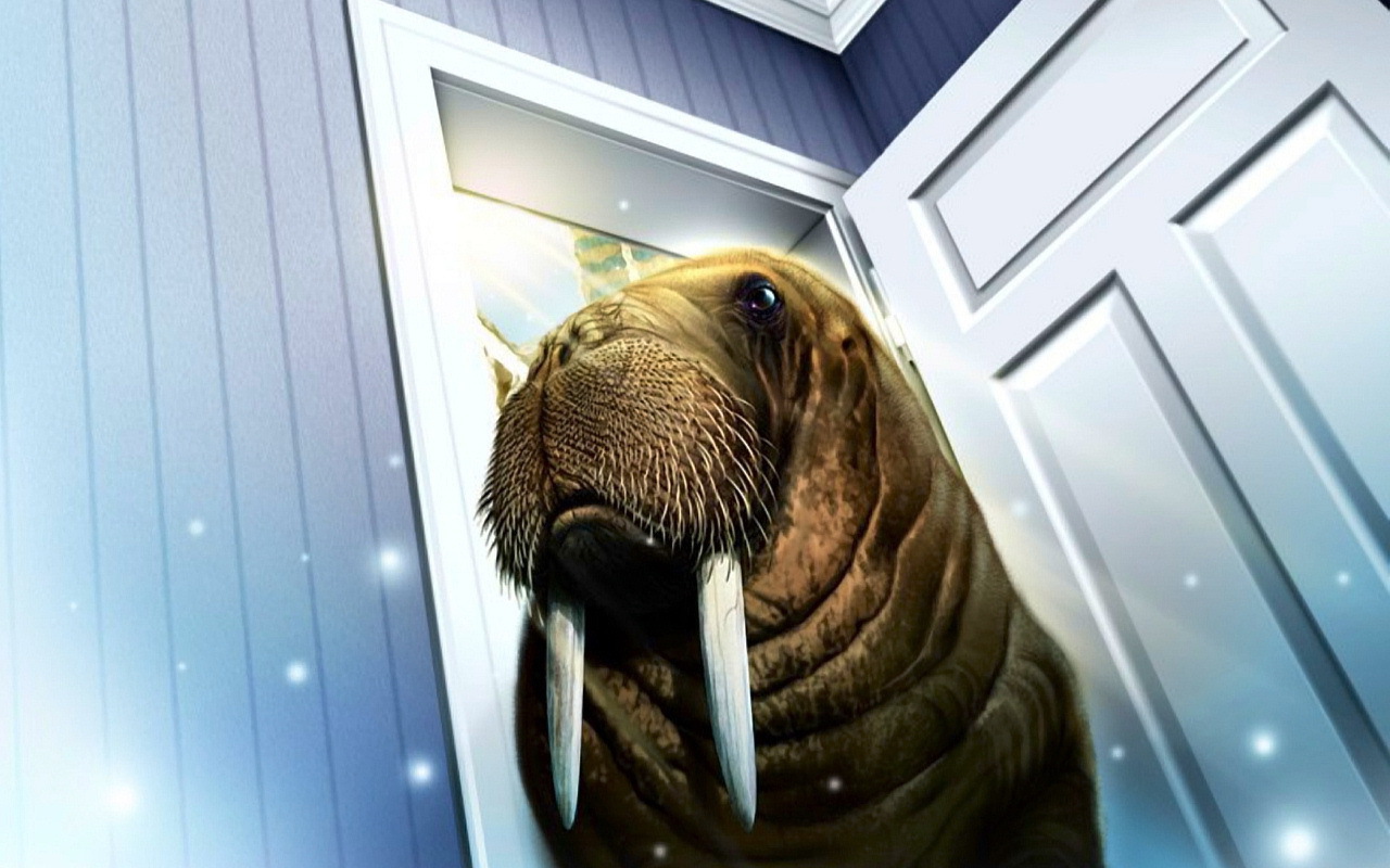 Морж пришел в дом