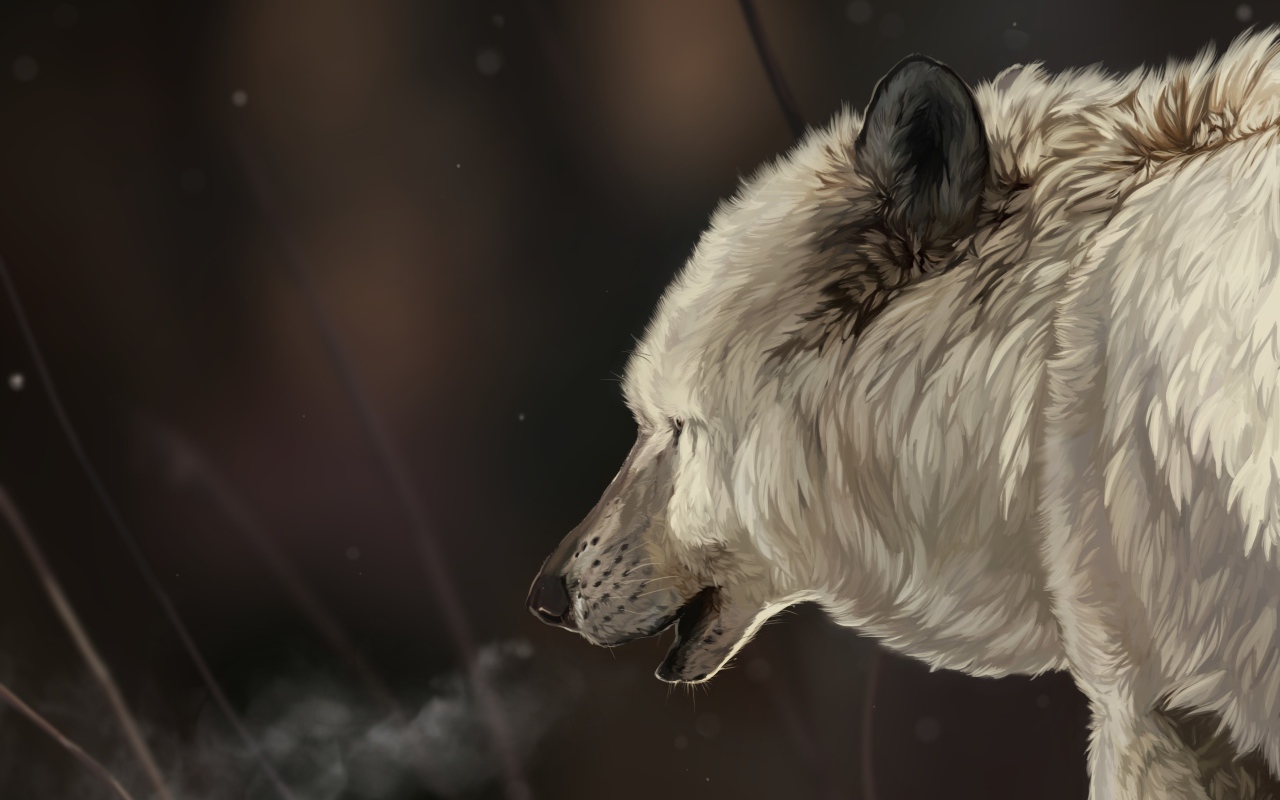 Голова белого волка