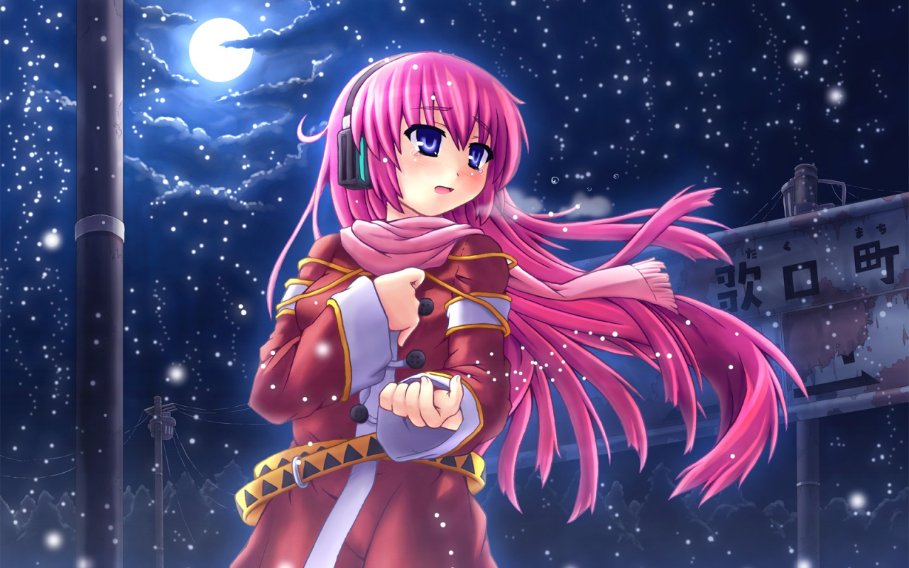 Девочка зимней ночью