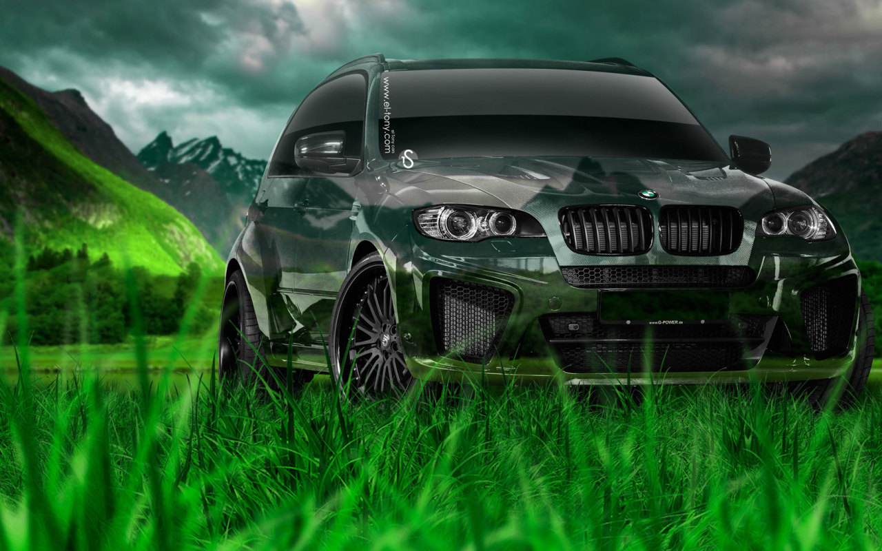 Дух свободы с BMW X5