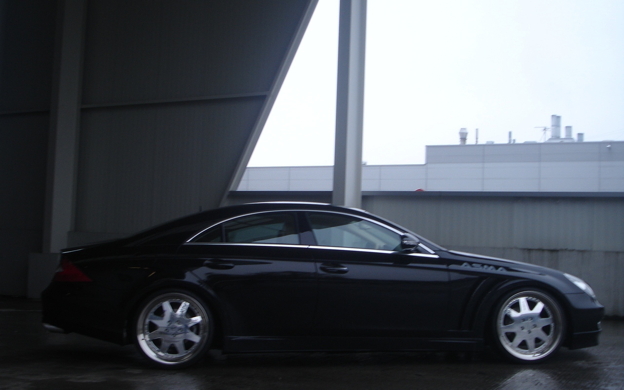 Asma Tavan 2013 в городе