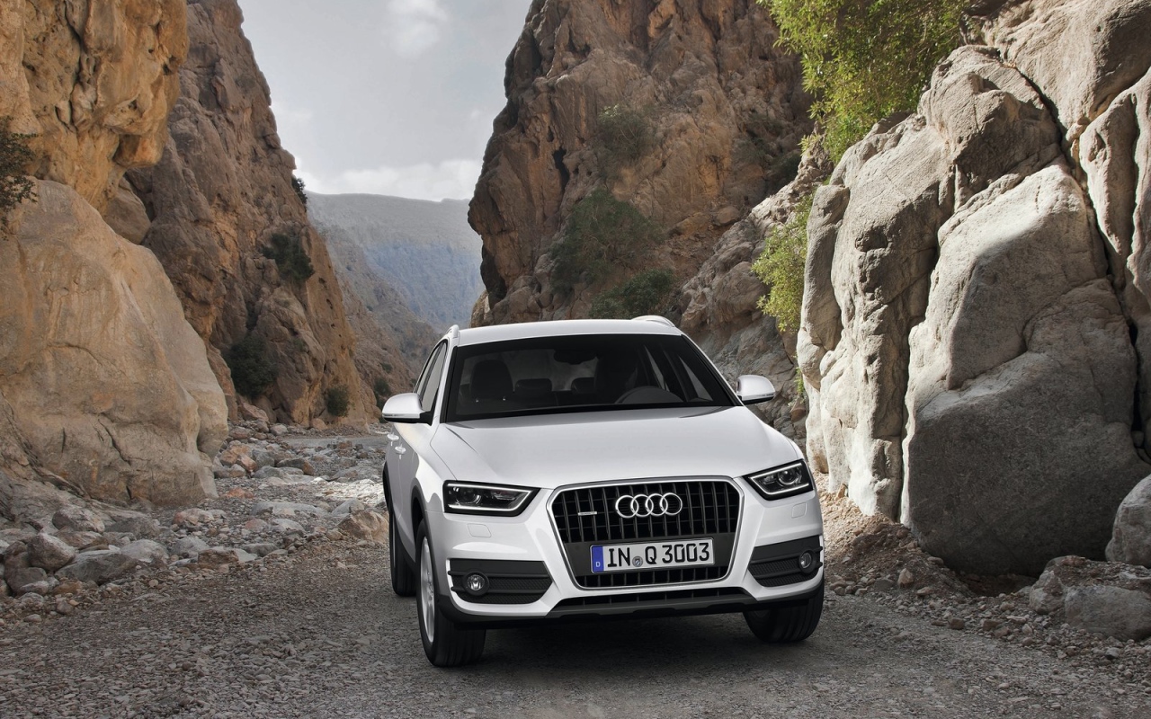 Великолепный Audi Q3