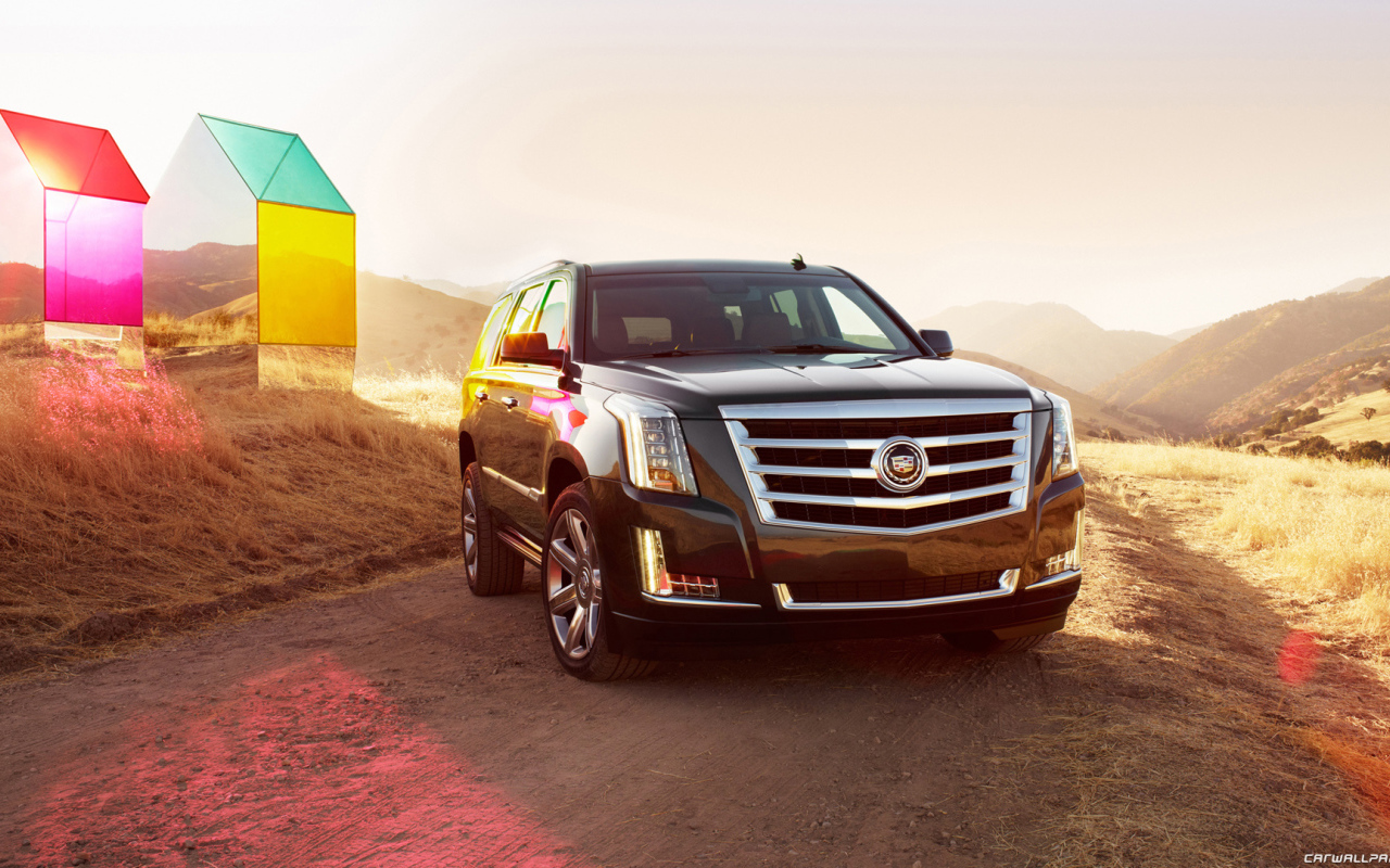Путешественник Cadillac Escalade 2014