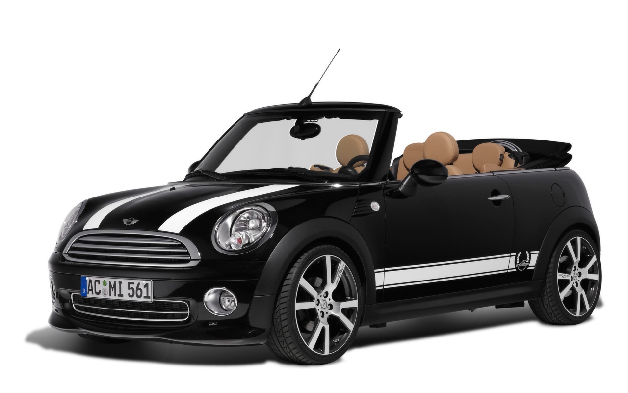 Автомобиль Шнитцер