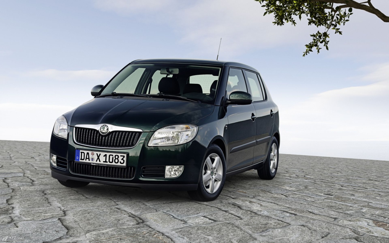 Автомобиль марки Skoda модели Fabia