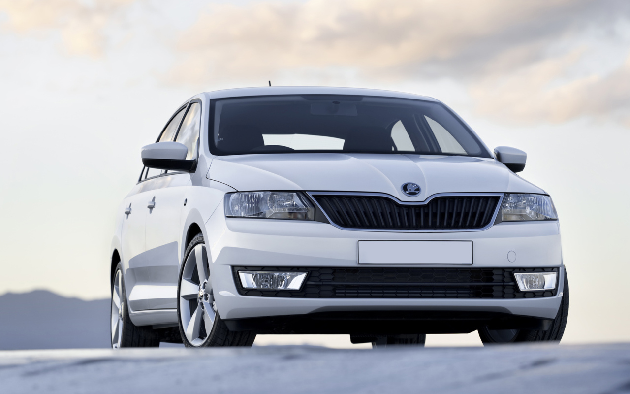 Тест драйв автомобиля Skoda Rapid