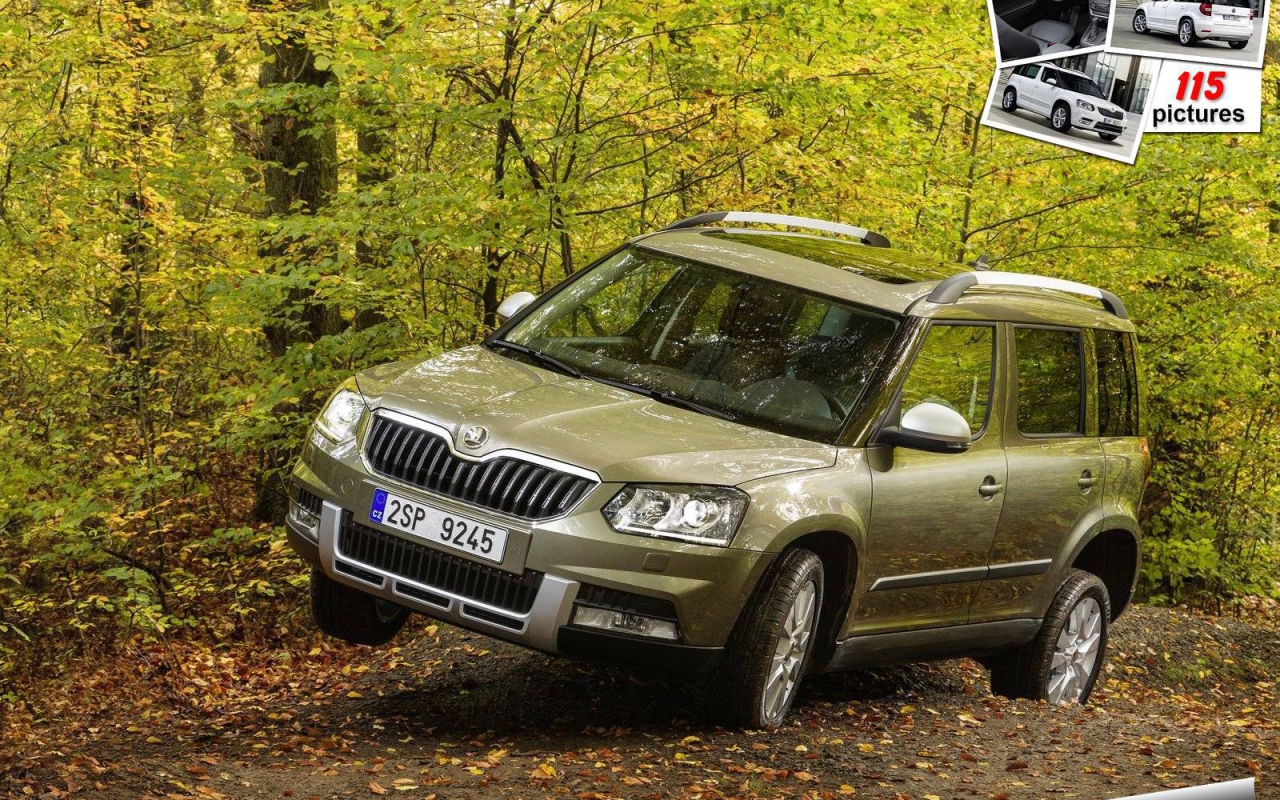 Надежная машина Skoda Yeti 2014