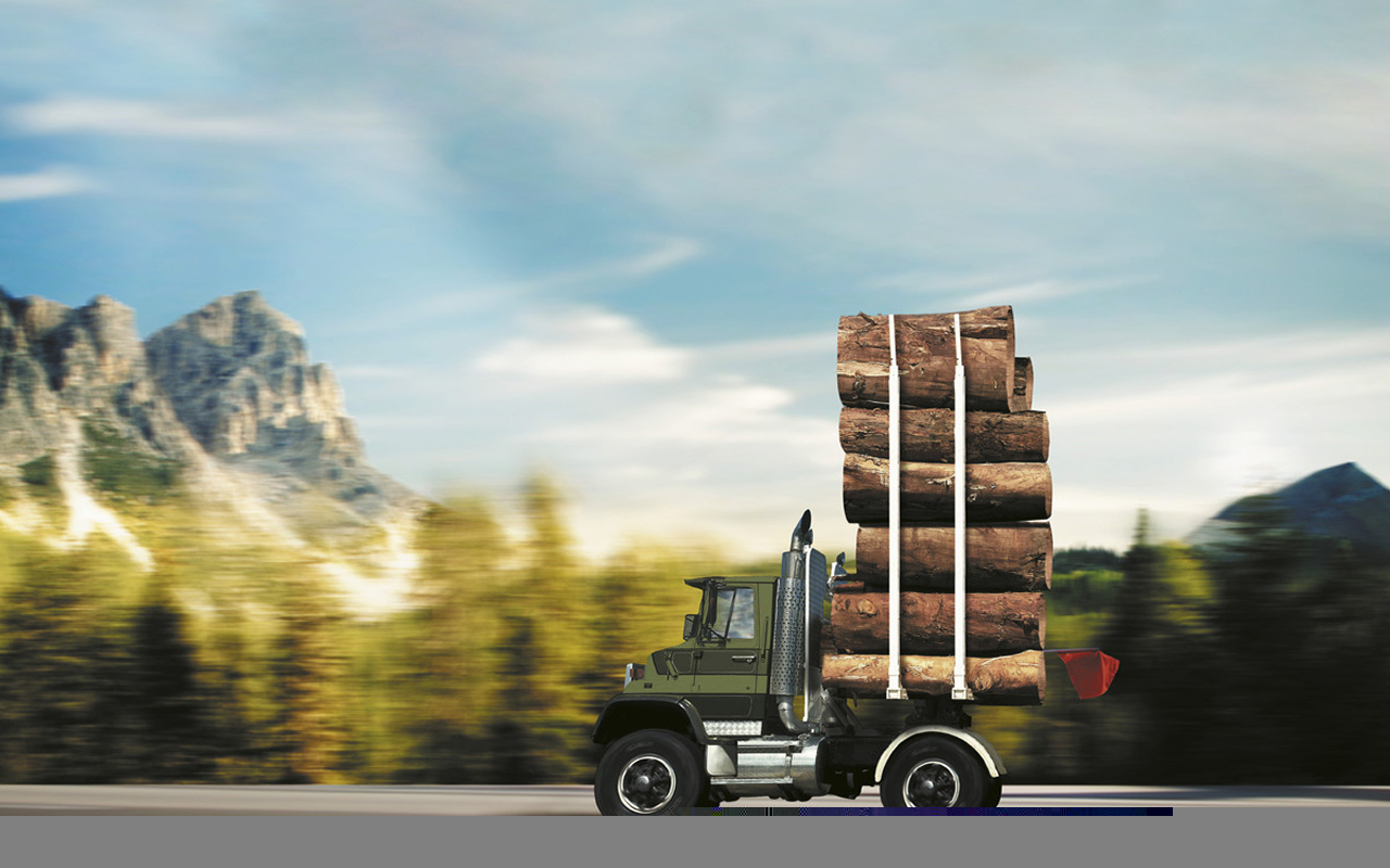 Автомобиль лесовоз