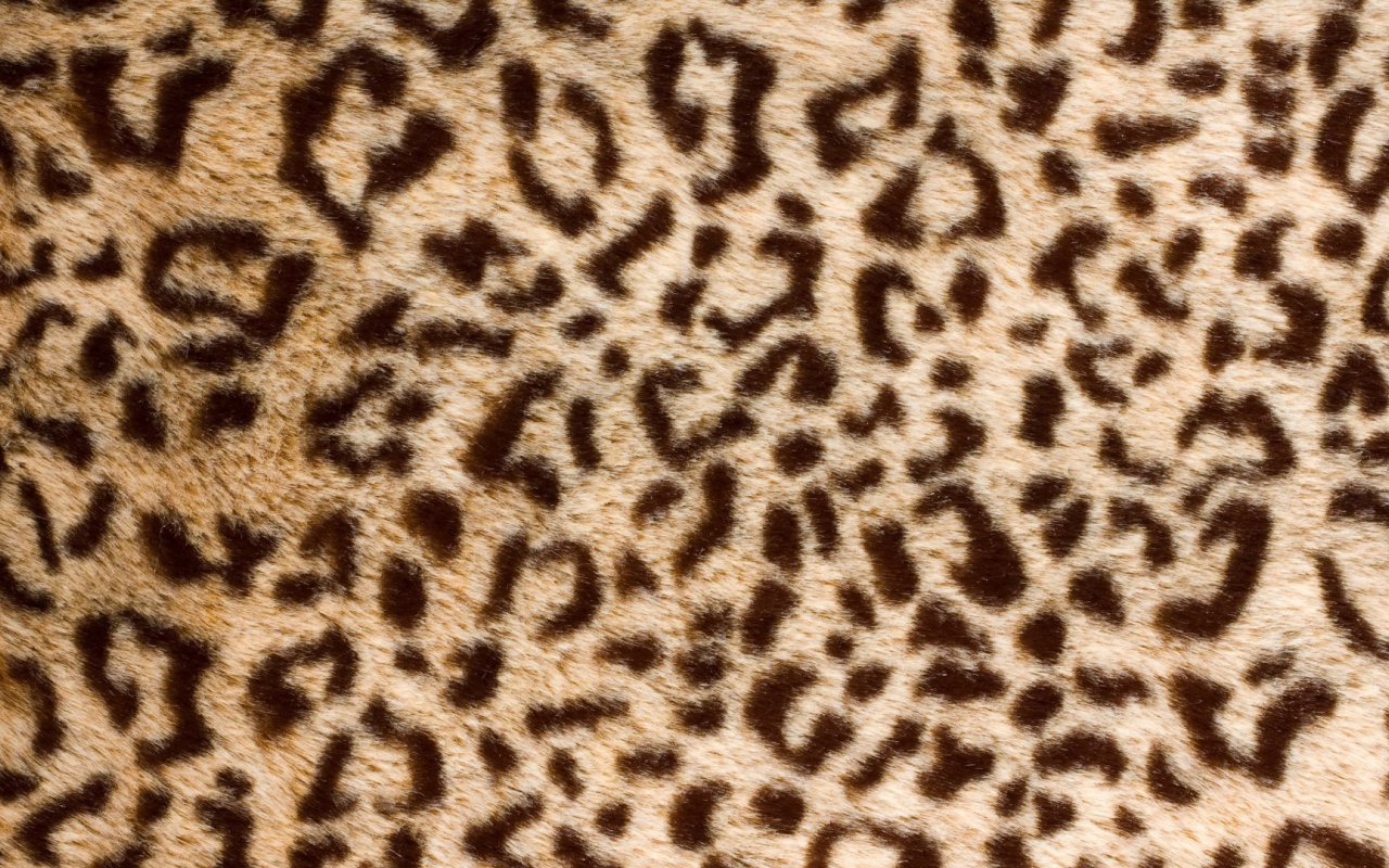 Банальный леопард