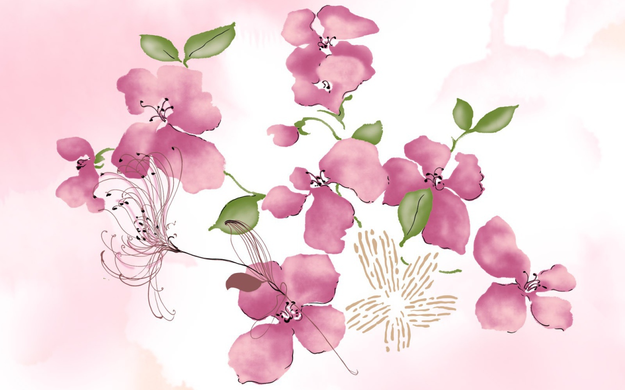 Розовые цветы на белом фоне