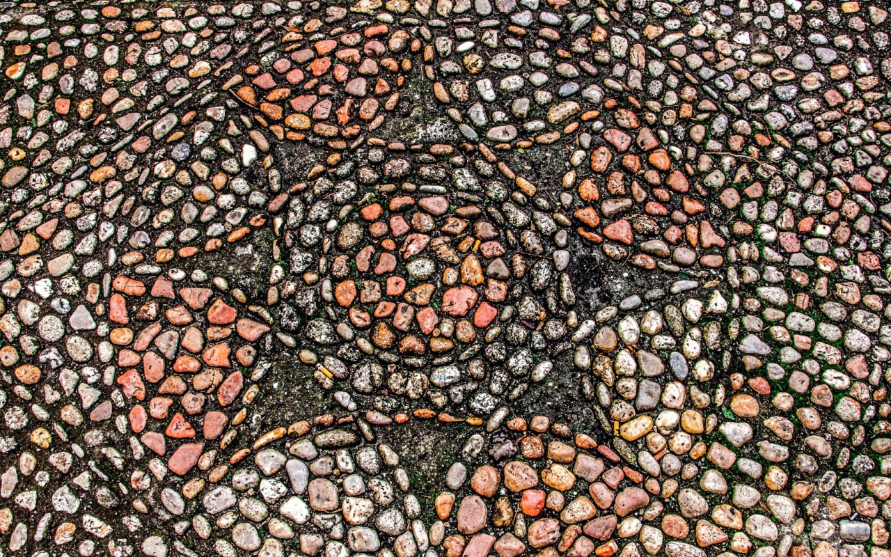 Узоры морского камня