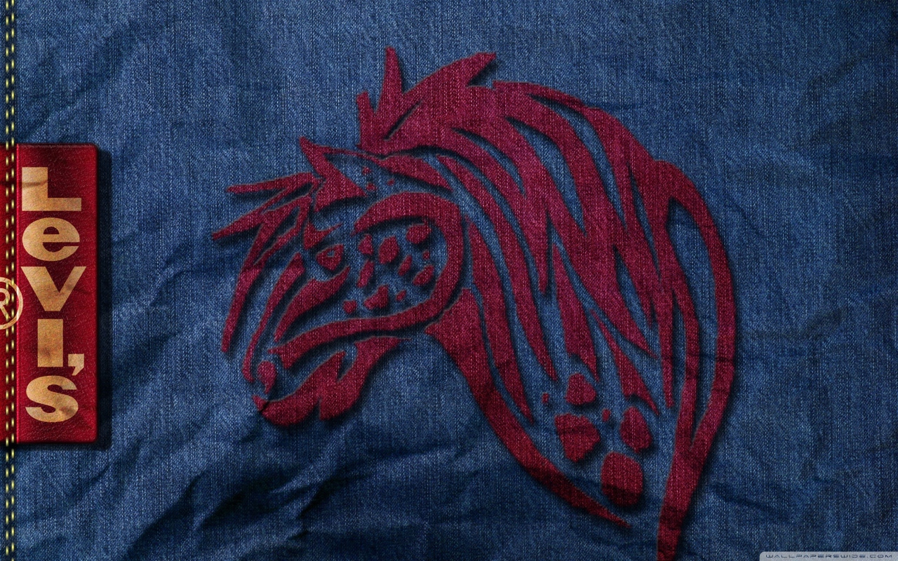 Известный бренд Levi`s