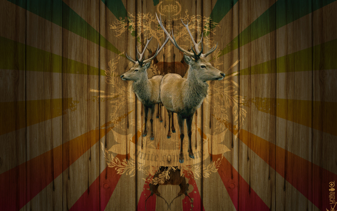 Объединение потребителей