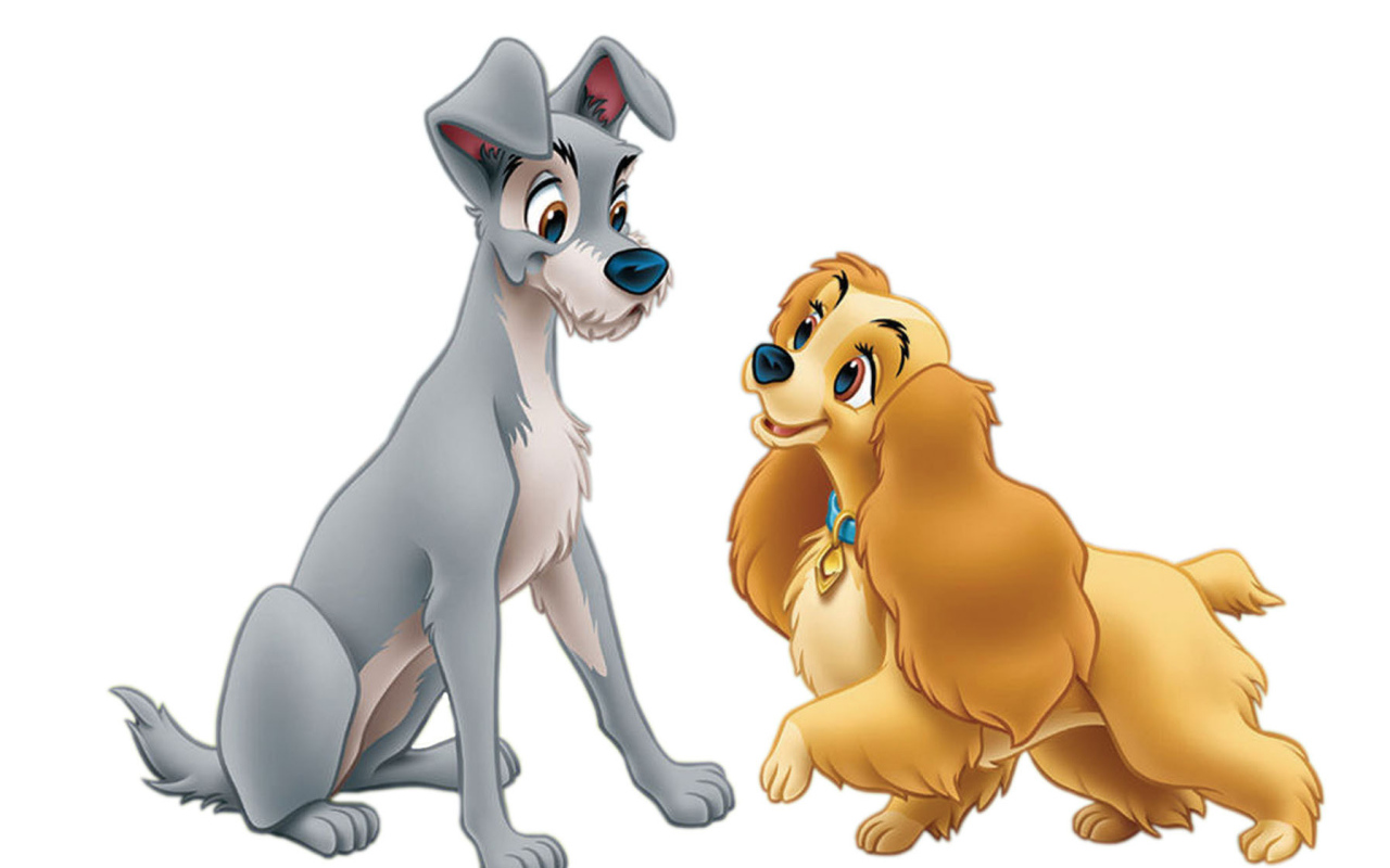 Леди и бродяга