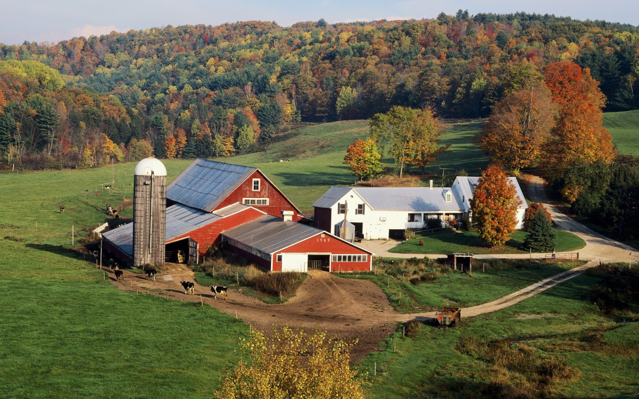 Усадьба фермера