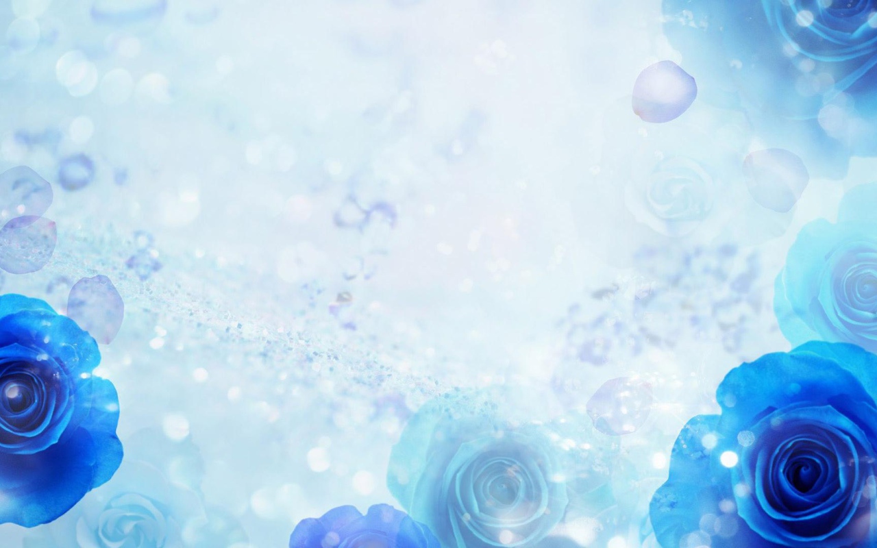 Синие розы на голубом фоне