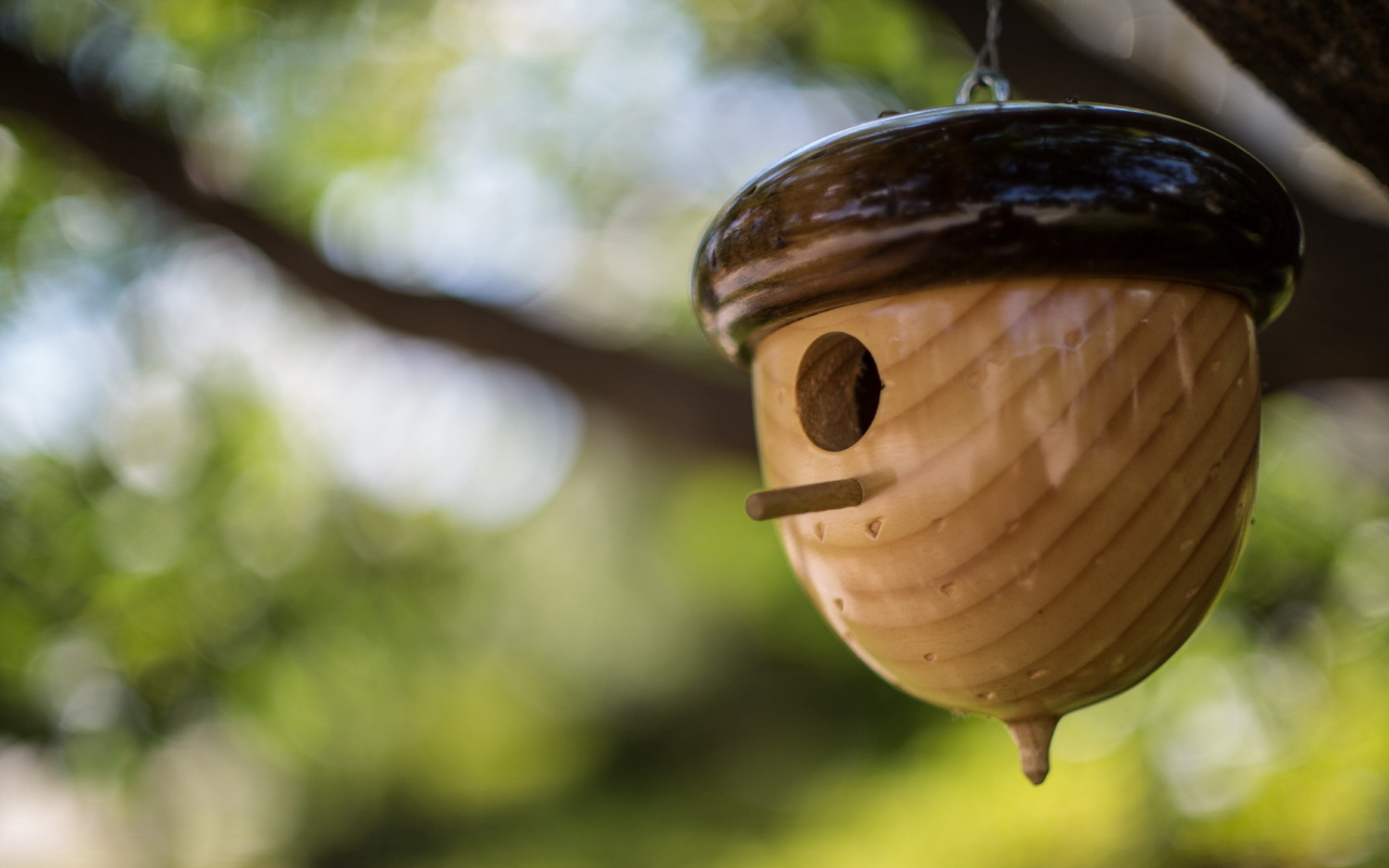 Домик в форме желудя