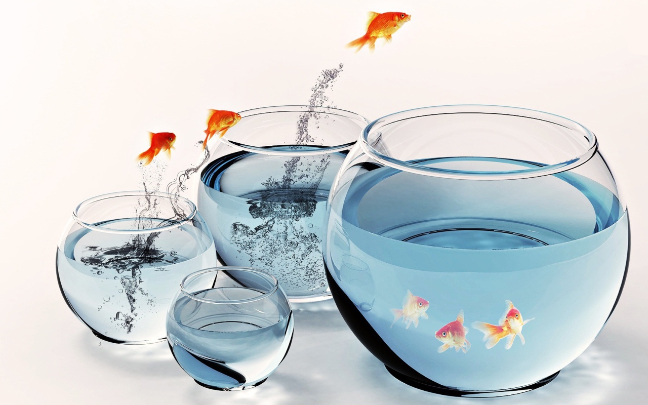 Рыбы и аквариумы