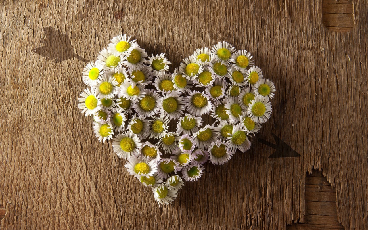 Сердечко из ромашек