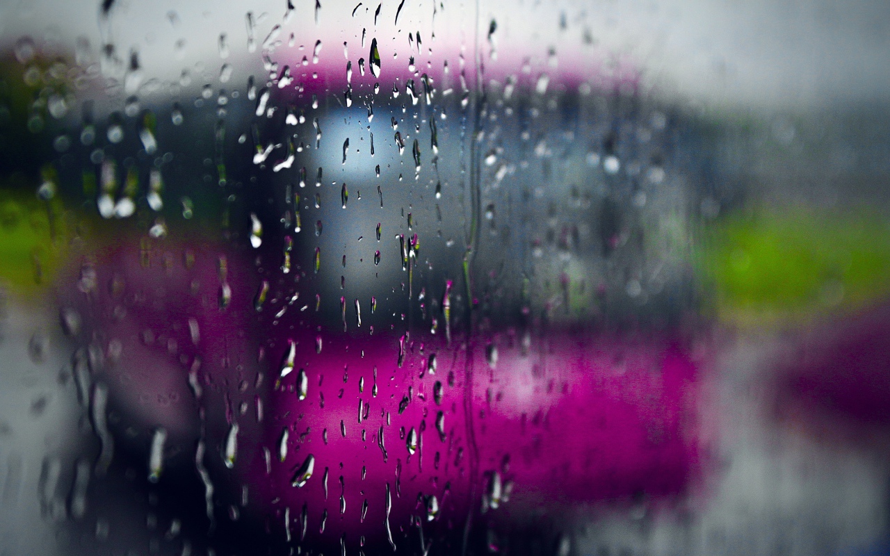 Дождливый день