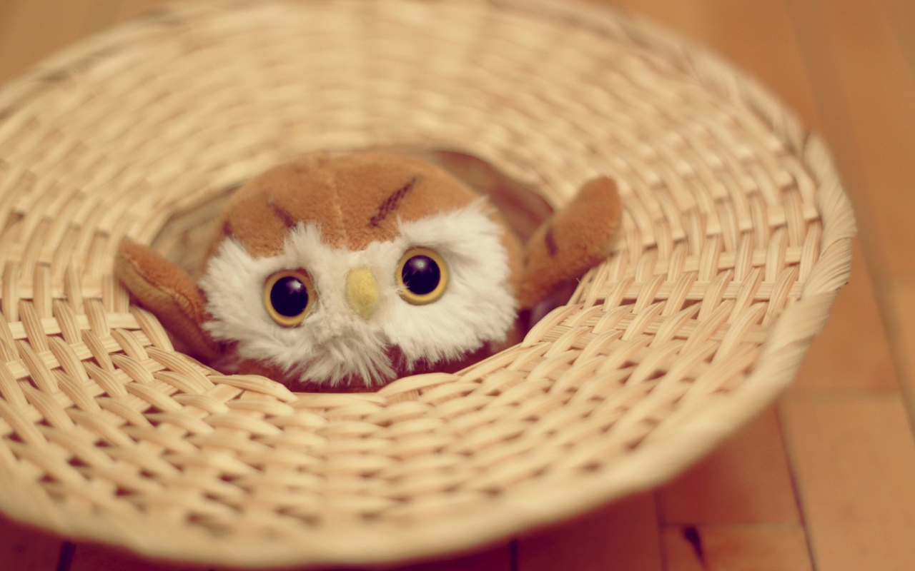 Mягкая игрушка совёнок