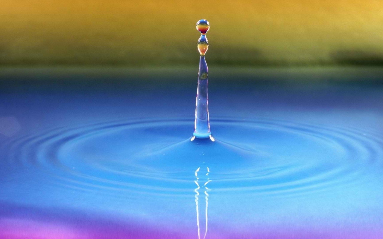 	   The drop in the water