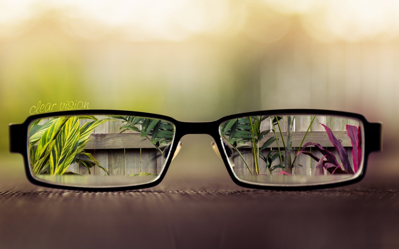 	   The visible world through glasses