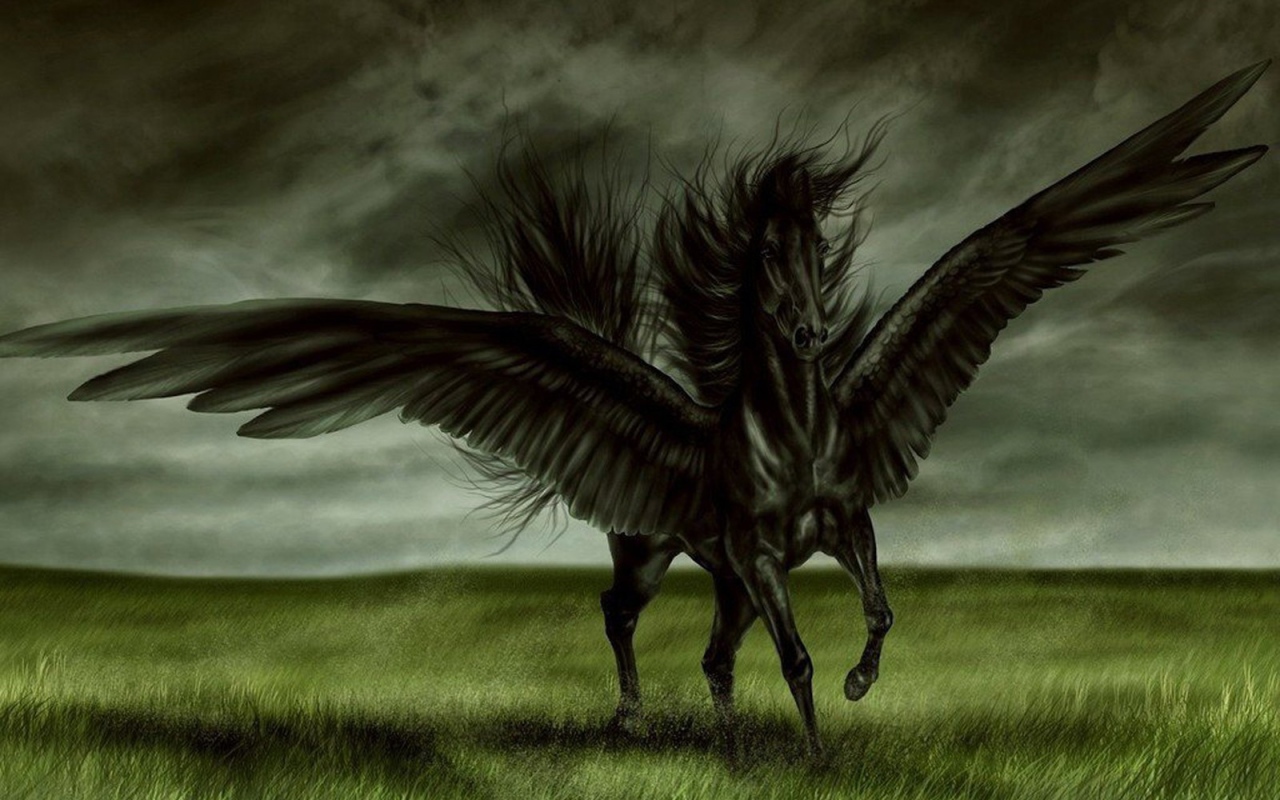 Черная лошадь с крыльями