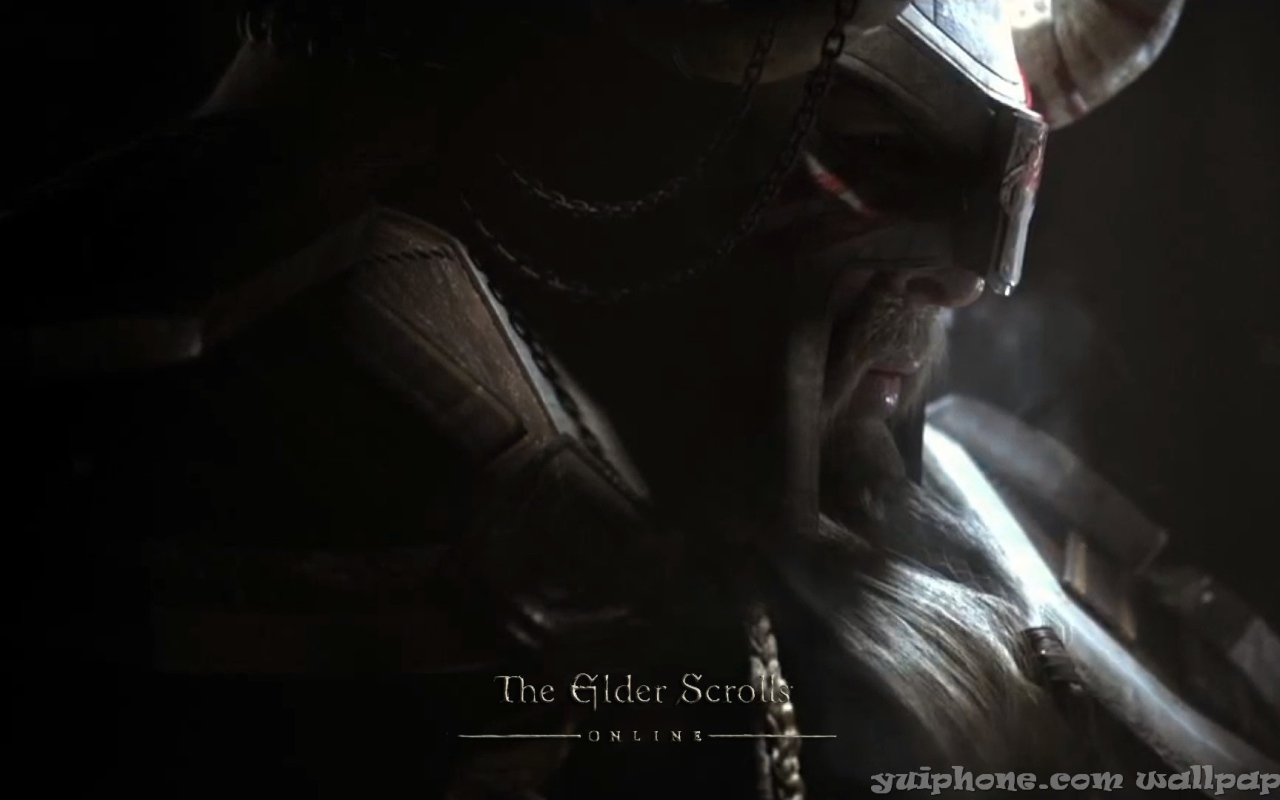 Закаленный в боях викинг