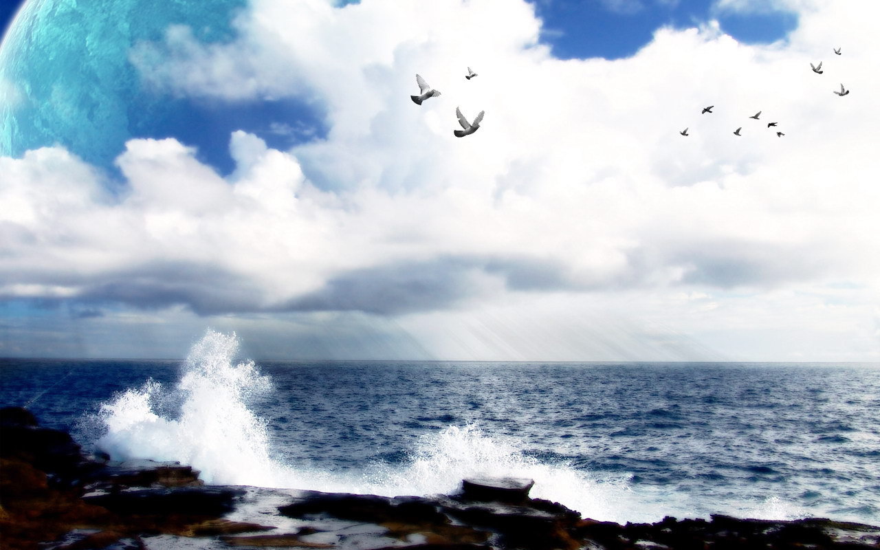 Море ,голуби и космос