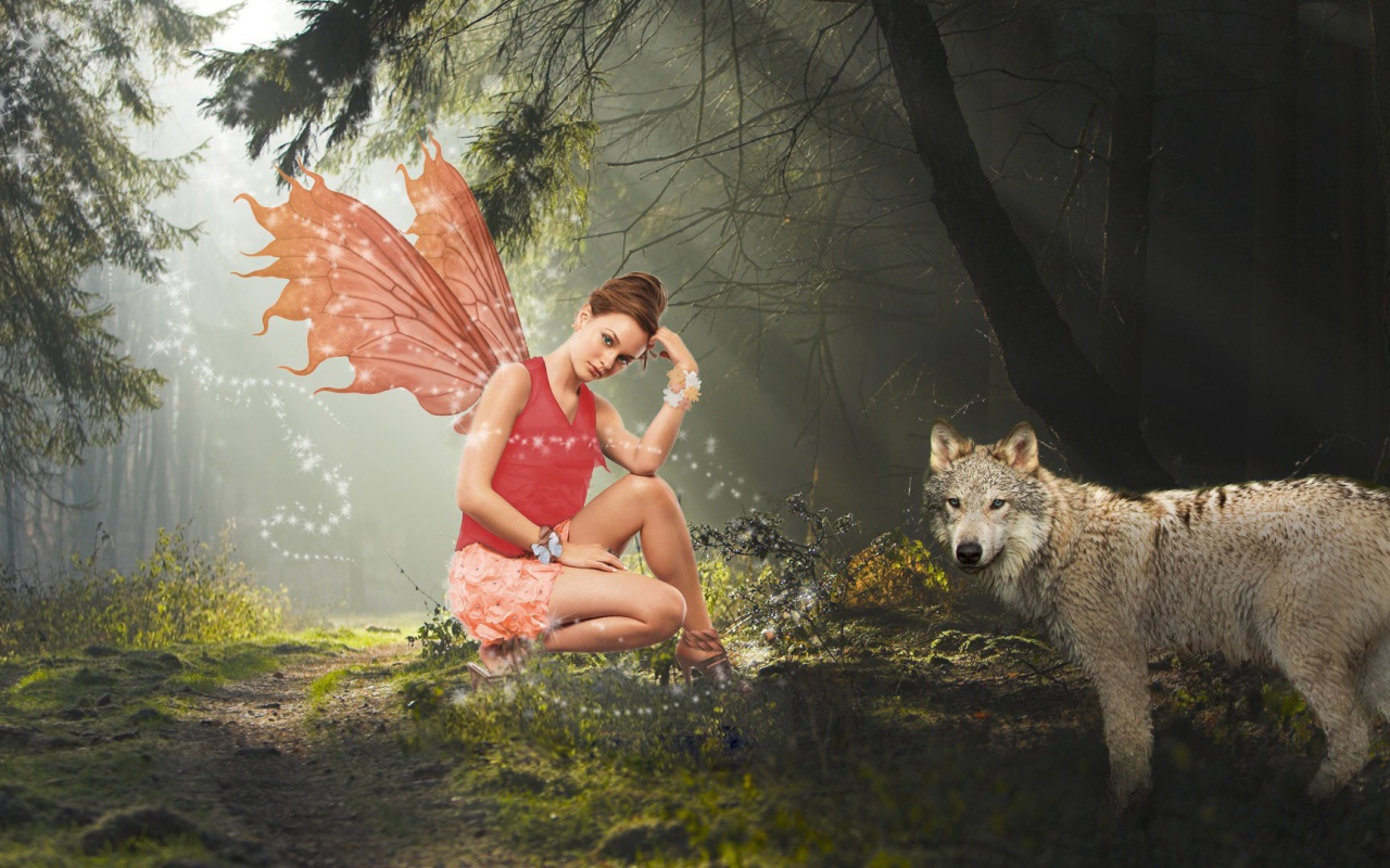Фея и волк