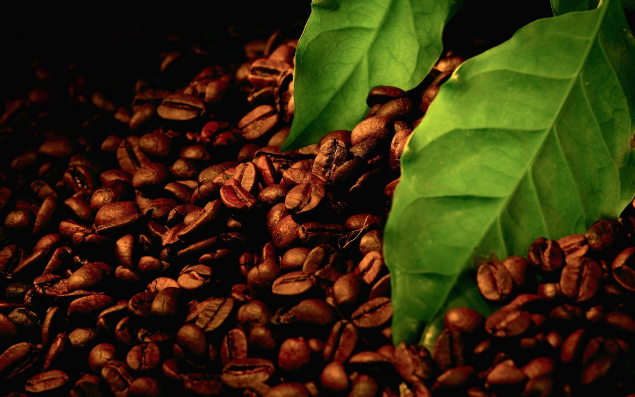 	   Roasted coffee beans